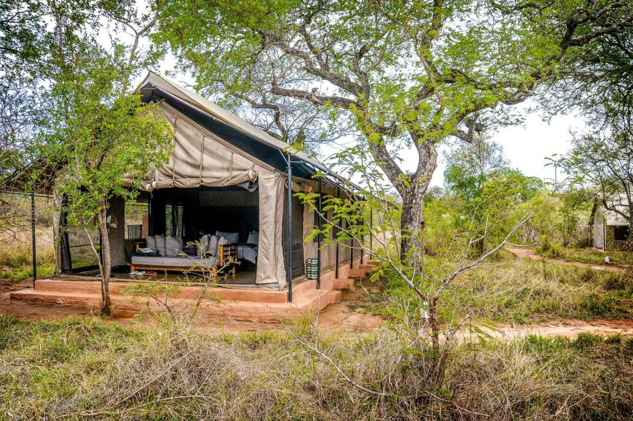 Honeyguide Tented Safari Camp - Khoka Moya Manyeleti Game Reserve Exterior foto