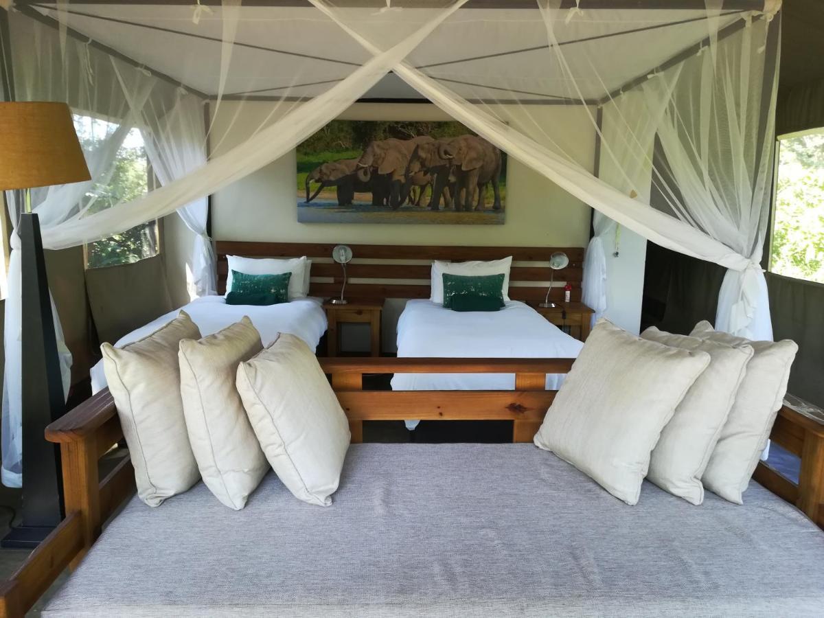 Honeyguide Tented Safari Camp - Khoka Moya Manyeleti Game Reserve Exterior foto