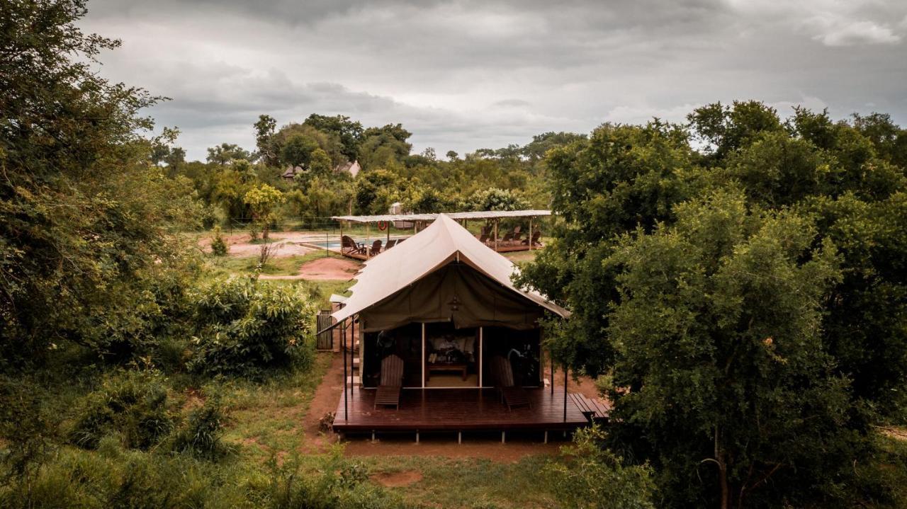 Honeyguide Tented Safari Camp - Khoka Moya Manyeleti Game Reserve Exterior foto