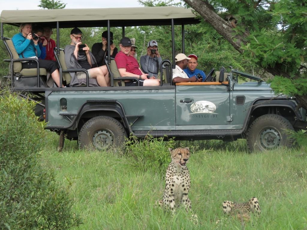 Honeyguide Tented Safari Camp - Khoka Moya Manyeleti Game Reserve Exterior foto