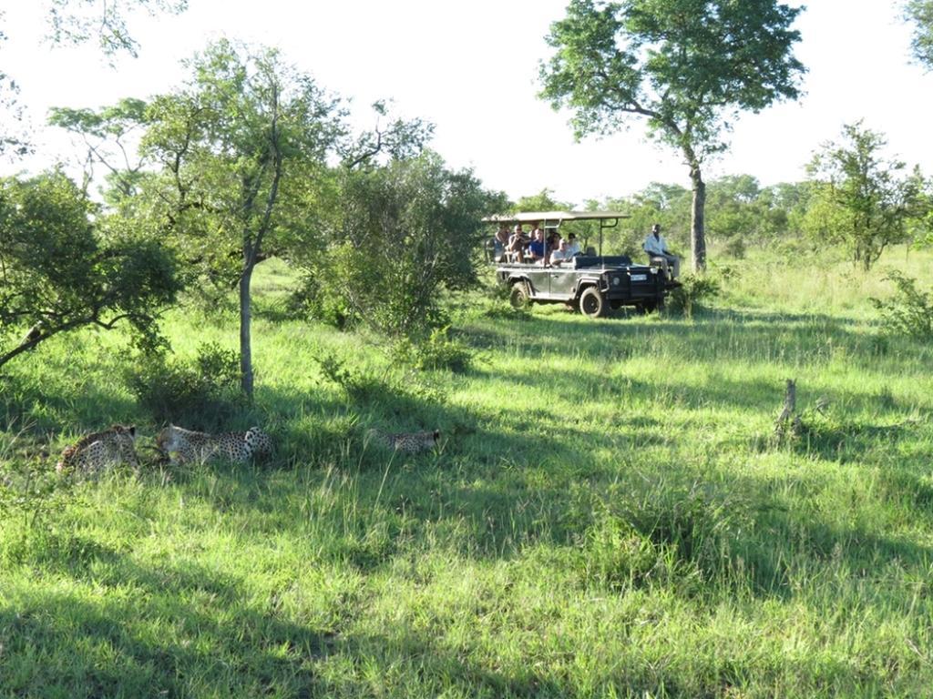 Honeyguide Tented Safari Camp - Khoka Moya Manyeleti Game Reserve Exterior foto