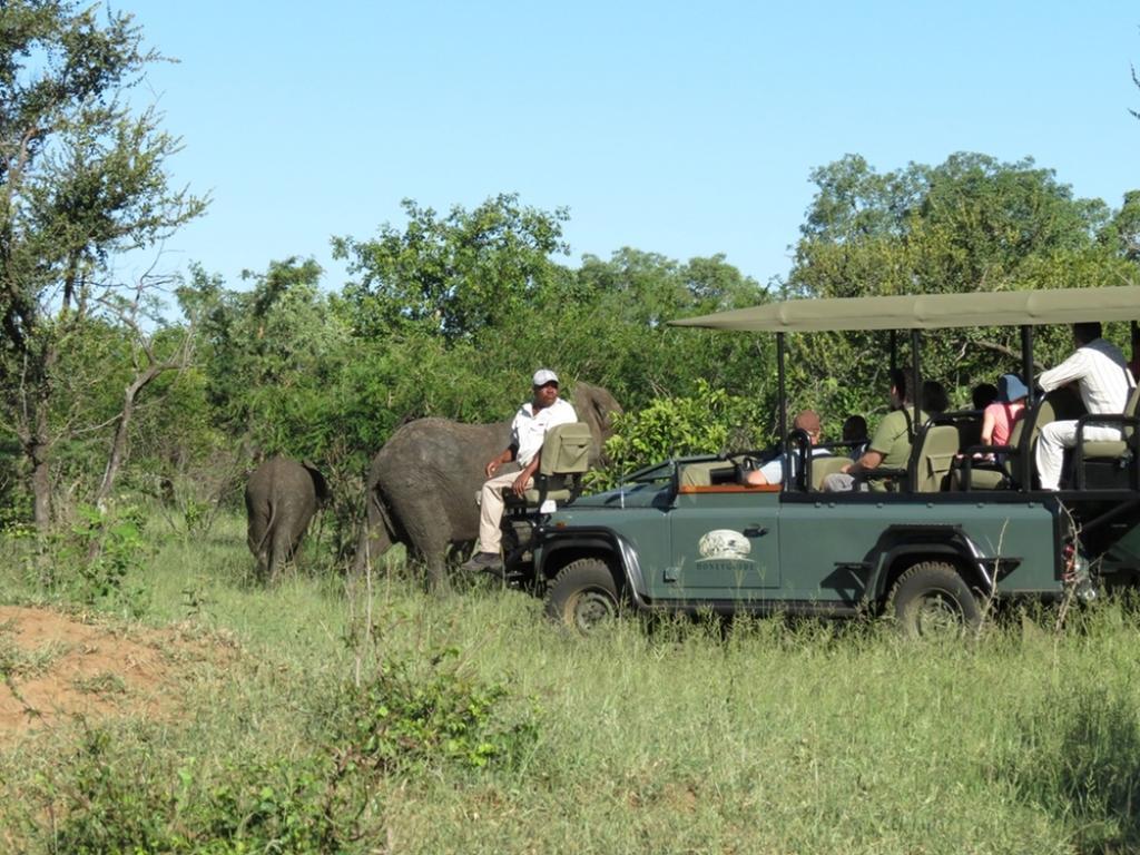 Honeyguide Tented Safari Camp - Khoka Moya Manyeleti Game Reserve Exterior foto